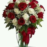 Lona Mondestin - Instagram Profile Picture of Lona Mondestin (@lonamondestin) on Instagram