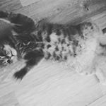 Profile Picture of Martin Matula (@martin.matula) on Instagram