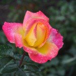 Profile Picture of Liam Kemp (@mobybyron) on Instagram