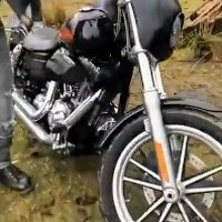 Profile Picture of Ivy Greene (@ivy-greene-5) on Quora