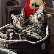 Profile Picture of Ryan Riggs (@ryanriggs7516) on Youtube