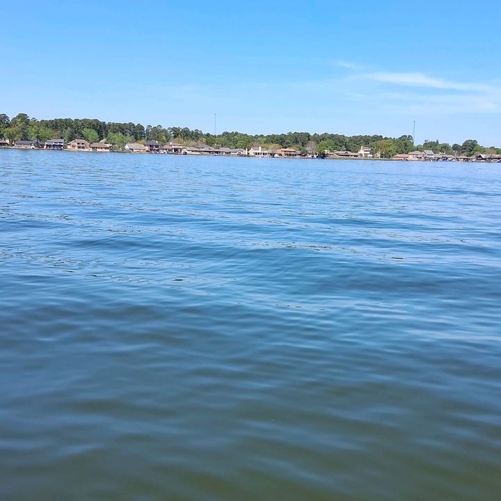 Carlos Peraza - Tiktok Profile Picture of Carlos Peraza (@carlosperaza965) on Tiktok