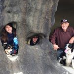 Profile Picture of David Fairbairn (@fairbairn568) on Instagram