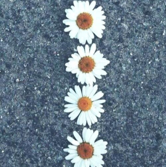 Profile Picture of Dazi Simpson (@dazisimpson) on Poshmark