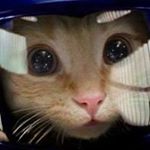 Profile Picture of Mark Scottish Weems (@markscottish) on Instagram