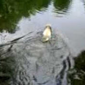 Profile Picture of Damien Byrne (@damobyrne09) on Youtube