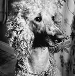 Profile Picture of Brad Heck (@brad.heck.899881) on Facebook