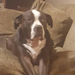 Profile Picture of Kim Peak-Humphrey (@kpeakhumphrey) on Instagram