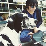 Profile Picture of Melissa Feit (@mellomar) on Instagram