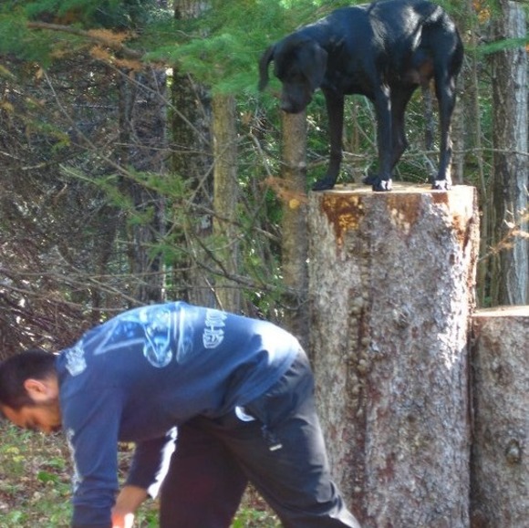 Profile Picture of Peter Olson (@peterolson) on Poshmark