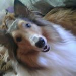 Profile Picture of Zoey Hicks (@zoeyhick8218) on Instagram