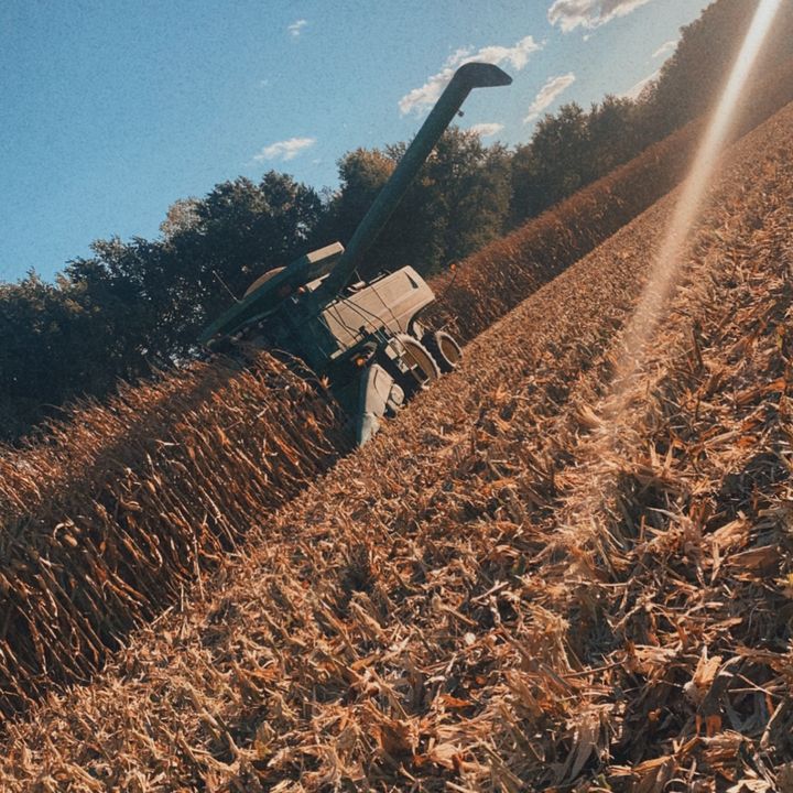 Profile Picture of derrickbehrendsen (@derrickbehrendsen0) on Tiktok