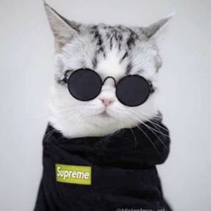 Profile Picture of michael_kooshan (@michael_kooshan) on Tiktok