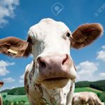 Profile Picture of David Brickley (@davidbrickley_) on Instagram