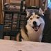 Profile Picture of Kevin Forth (@kevin.forth.77) on Facebook
