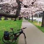 Profile Picture of Marc Duffy (@marcelderduffy) on Instagram