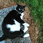 Profile Picture of John Charles Jeffries (@mr.johnries) on Instagram