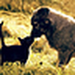 Profile Picture of Lucy Yu (@lucester) on Flickr