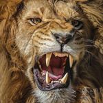 M D.NZONGO 1️⃣9️⃣ - Instagram Profile Picture of M D.NZONGO 1️⃣9️⃣ (@m.nzongo) on Instagram