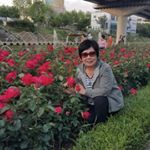 김순자 - Instagram Profile Picture of 김순자 (@sunja_family) on Instagram