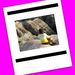 Profile Picture of abbe Kennedy (@flrmkm) on Pinterest