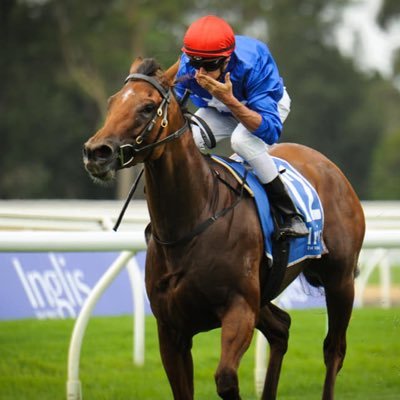 Profile Picture of Lawrence Leung (@LawrenceLeung16) on Twitter