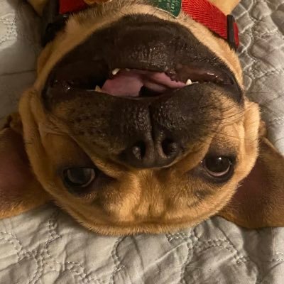 Ashley Silva - Twitter Profile Picture of Ashley Silva (@assleysilva) on Twitter