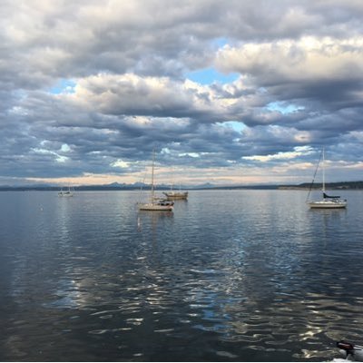 Profile Picture of Johanna Whitney (@krogh_jo) on Twitter