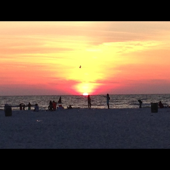 Profile Picture of Ashley Dicristofano (@jad9235) on Poshmark