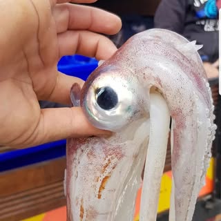 Profile Picture of Michael Breese (@breese.michael) on Instagram