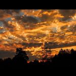 Sheila Casseus-Joseph - Instagram Profile Picture of Sheila Casseus-Joseph (@lamarre77) on Instagram