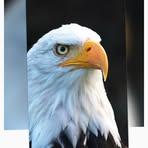 Profile Picture of Bigerd Adam (@bigerd.adam) on Facebook