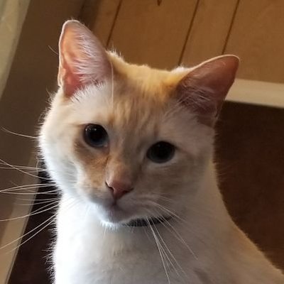 Profile Picture of Jean Corkill (@onewhitejade) on Twitter