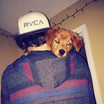 Profile Picture of Thomas Riddick (@riddick915) on Instagram