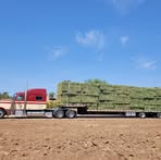 Profile Picture of Jared Ontiveros (@jared.ontiveros.779) on Facebook