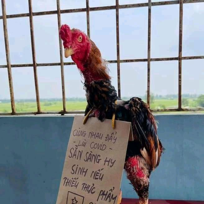 Profile Picture of Lawrence Marcel (@lawrence.marcel) on Tiktok