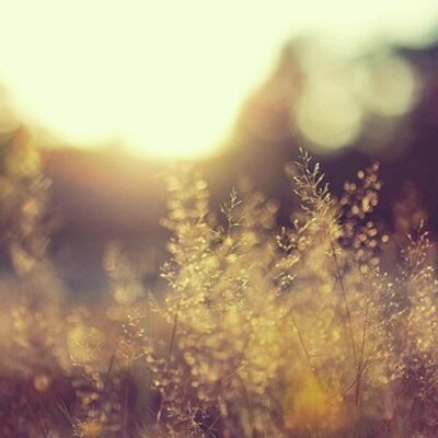 Profile Picture of Jessie Fitzsimmons (@jessiefitzo) on Twitter