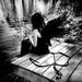 Profile Picture of Stephanie Lisewski (@mellysteph) on Pinterest