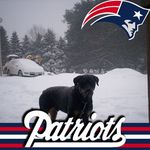 Profile Picture of Lori Kramer (@lorikramer5828) on Instagram