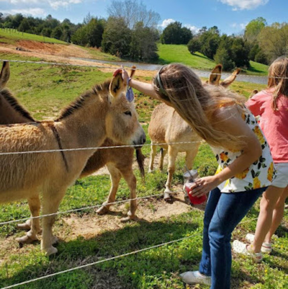 Jade Joyce - Poshmark Profile Picture of Jade Joyce (@jadejoyce364) on Poshmark