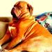 Profile Picture of Robin Halpern (@robinhalpern) on Pinterest
