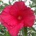 Profile Picture of Marilyn Gillaspie Glandt (@marilyn.gillaspieglandt.1) on Facebook