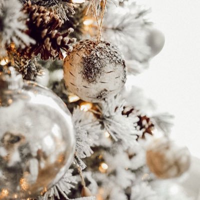 Profile Picture of Jessica Capurso (@CapursoJessica) on Twitter