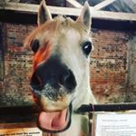 Profile Picture of Gemma Williams (@gemmawilliams1303) on Instagram