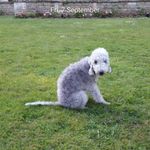 Profile Picture of Peter Harper (@peterharper499) on Instagram