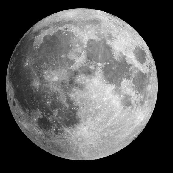 Profile Picture of Daniel Yarwasky (@realpigdog) on Poshmark