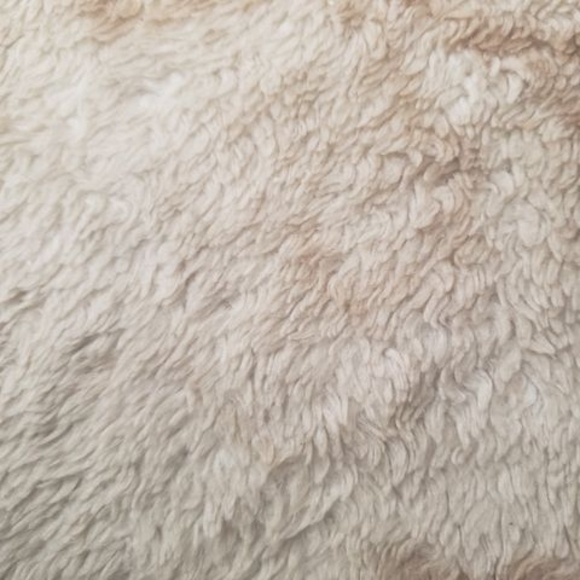 Profile Picture of Jeanvladimir Jeannot (@jeanvladimirj) on Poshmark