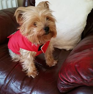 Profile Picture of Jan Fixter (@jan.fixter.56) on Facebook