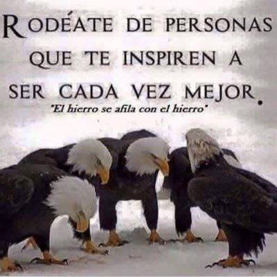 Profile Picture of Richard Galaviz U (@RicharGalaviz) on Twitter