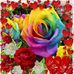 Profile Picture of Juana Julia (@juana.ayma.12) on Facebook